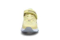Okaki  Trail C
